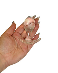 Glass FYA : Clear Glass